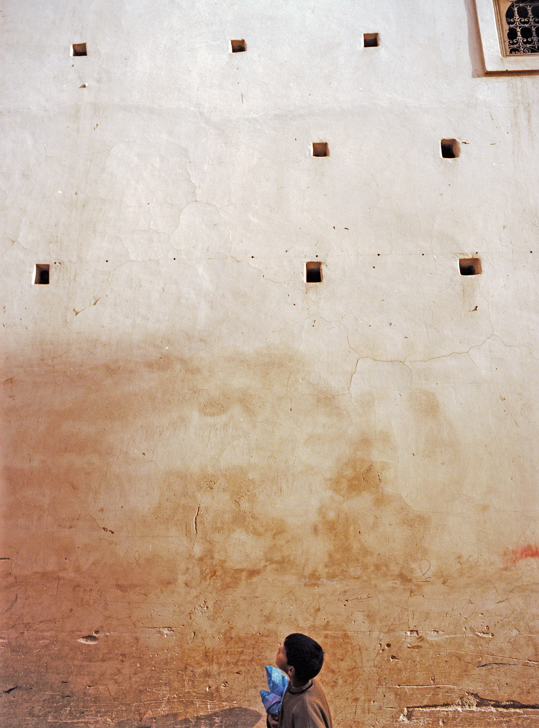 FLagnese_cover2