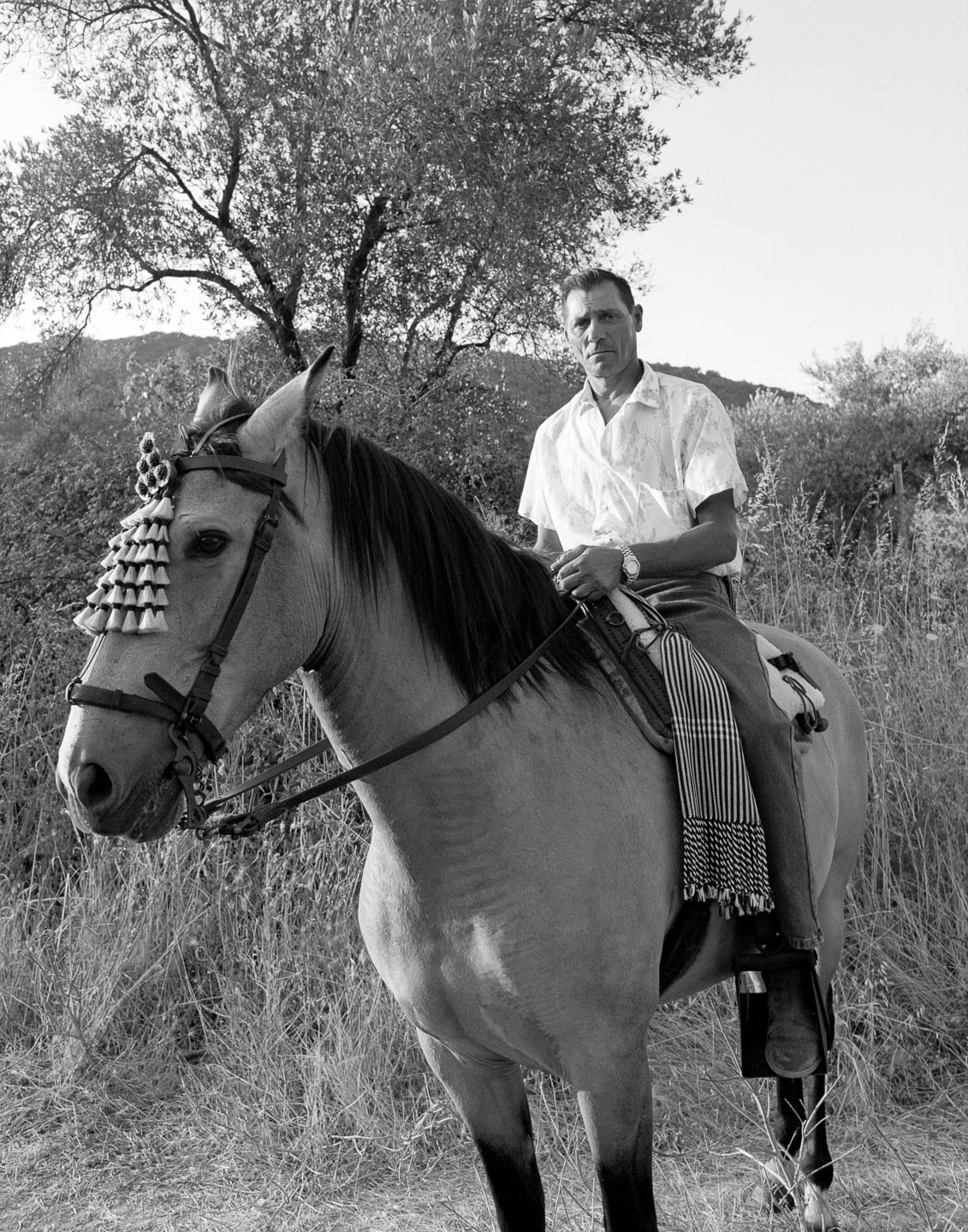 FrancescoLagnese_horsebackrider