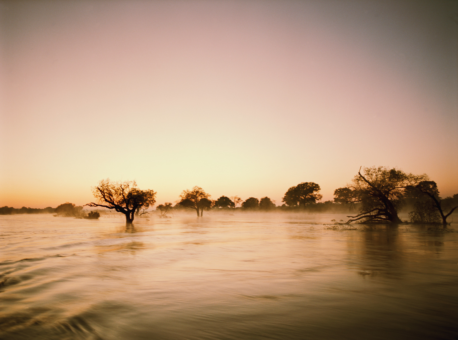 Zambezi River II